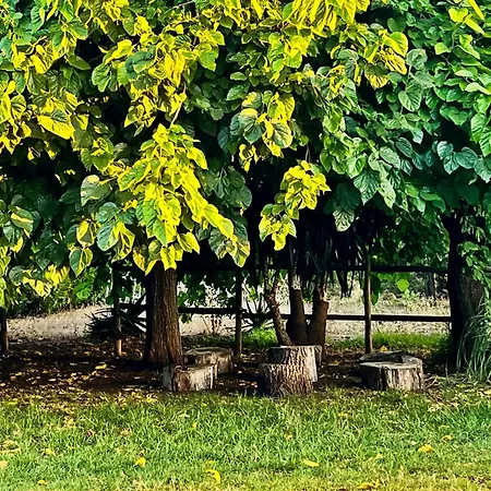 San Patricio I Piscina Privada I Jacuzzi I Bbq I Ps5 I Aire Acon I 3000m2 I 5min-centro 빌라