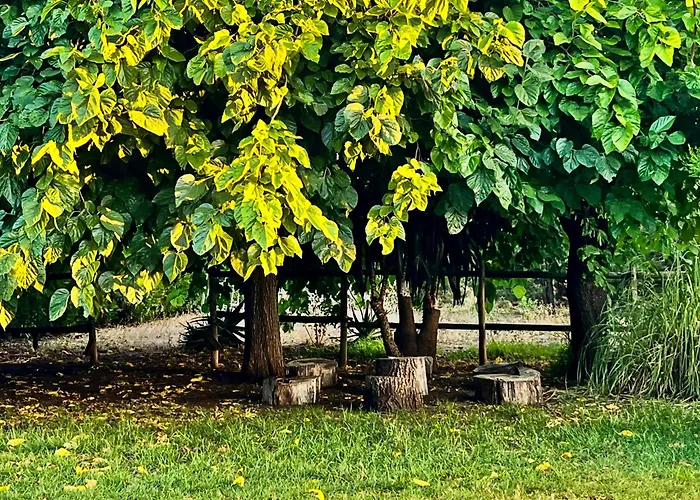 San Patricio I Piscina Privada I Jacuzzi I Bbq I Ps5 I Aire Acon I 3000m2 I 5min-centro Villa